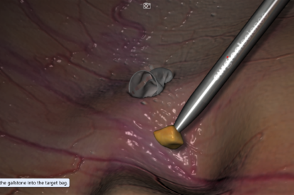 Modulo de Habilidades Basicas