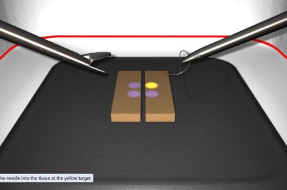 Modulo de Sutura e Anastomose