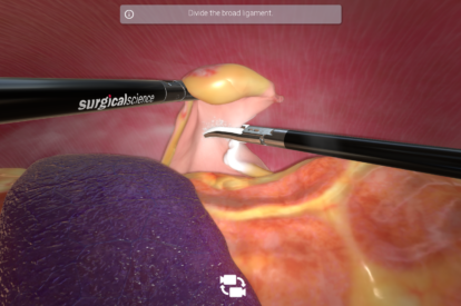 Modulo de Ovariectomia Canina